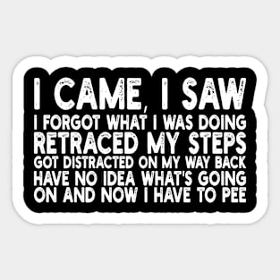 i came, i saw i forgot what i was doing retraced my steps got distracted on my way back have no idea what's going on and now i have to pee Sticker